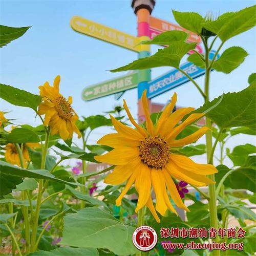 深圳市航天农业科技示范园周末游玩好地方